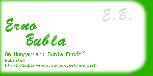 erno bubla business card